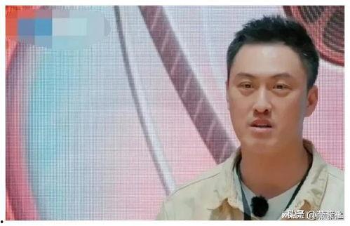 陆沉娱乐圈吃瓜